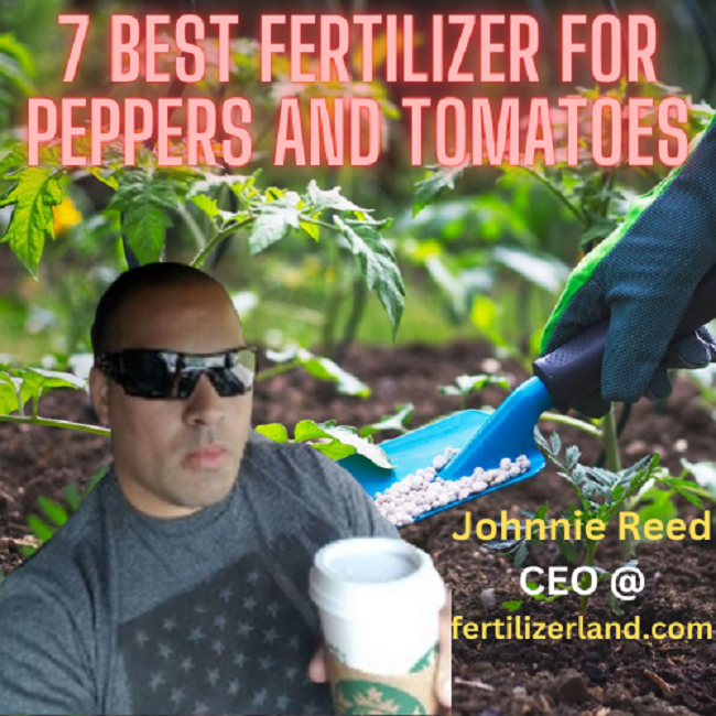 Best Fertilizer For Peppers And Tomatoes And Buyers Guide