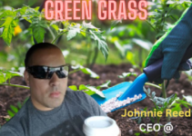 Best fertilizer for green grass 2023