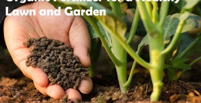 Organic Fertilizer for a Healthy Lawn and Garden