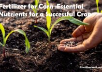 Fertilizer for Corn :Essential Nutrients for a Successful Crop
