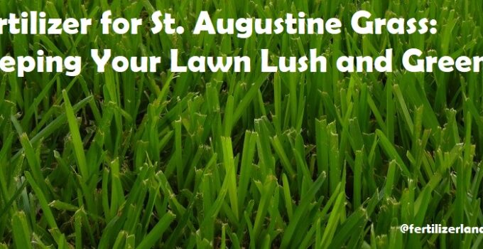 Fertilizer for St. Augustine Grass: Keeping Your Lawn Lush and Green